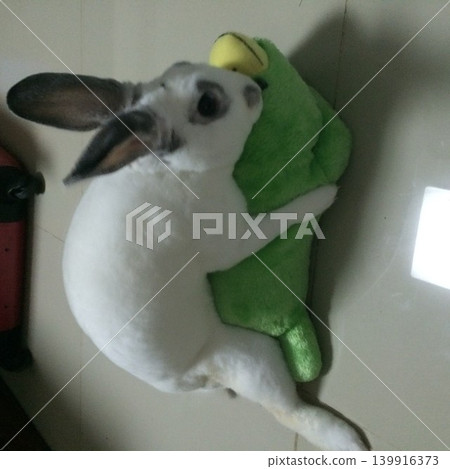 Kappa-loving rabbit Kappa-loving rabbit 139916373