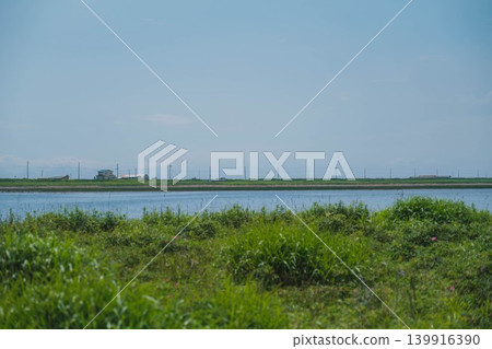 【野付半島】戶原,一片灰色的荒野,橫跨野付半島的頂端。 【野付半島】戶原,一片灰色的荒野,橫跨野付半島的頂端。 139916390