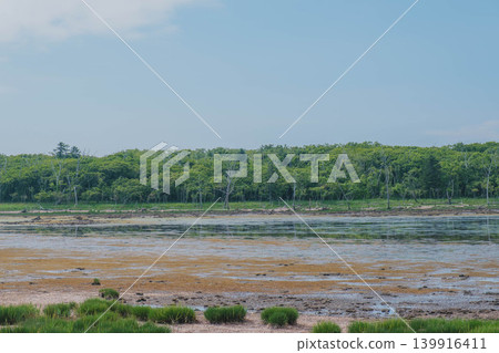 [Notsuke Peninsula] Todowara, a gray wilderness that stretches across the tip of the Notsuke Peninsula. 139916411