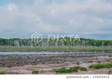 [Notsuke Peninsula] Todowara, a gray wilderness that stretches across the tip of the Notsuke Peninsula. 139916418