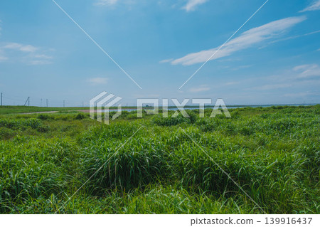 【野付半島】戶原,一片灰色的荒野,橫跨野付半島的頂端。 【野付半島】戶原,一片灰色的荒野,橫跨野付半島的頂端。 139916437