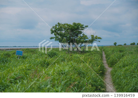 【野付半島】戶原,一片灰色的荒野,橫跨野付半島的頂端。 【野付半島】戶原,一片灰色的荒野,橫跨野付半島的頂端。 139916459
