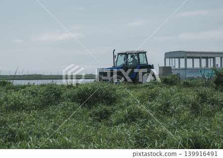 [Notsuke Peninsula] Todowara, a gray wilderness that stretches out at the tip of the Notsuke Peninsula, and the scenery of tractors driving through it. 139916491