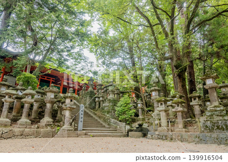 奈良縣(五月)【旅遊景點】奈良縣春日大社參道上的鹿 奈良縣(五月)【旅遊景點】奈良縣春日大社參道上的鹿 139916504