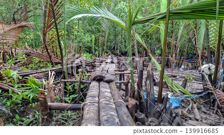 Rustic Log Footbridge Pathway Through Lush Mangrove Wetland Rustic Log Footbridge Pathway Through Lush Mangrove Wetland 139916685