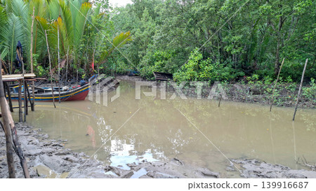 Small Wooden Fishing Boat Moored at Muddy Mangrove Riverbank Small Wooden Fishing Boat Moored at Muddy Mangrove Riverbank 139916687