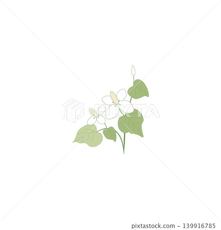 A simple design featuring the white flowers and buds of Houttuynia cordata. A simple design featuring the white flowers and buds of Houttuynia cordata. 139916785