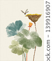 Lotus Leaves and Flowers with Dragonfly Hovering Above in Time Lapse 139916907