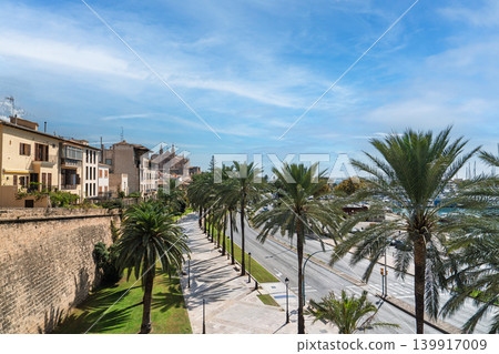 Palma de Mallorca cityscape with palm trees and cathedral under clear sunny skies and warmlight Palma de Mallorca cityscape with palm trees and cathedral under clear sunny skies and warmlight 139917009