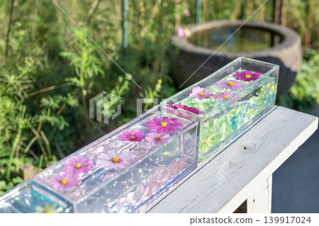 Glass cubes with cosmos flowers floating in them Glass cubes with cosmos flowers floating in them 139917024