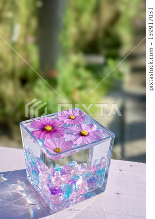 裝有波斯菊的玻璃立方體 139917031