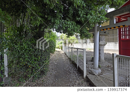 東京都小金井市本町的散步道 東京都小金井市本町的散步道 139917374