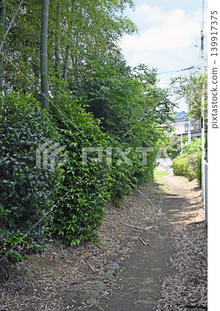 東京都小金井市本町的散步道 東京都小金井市本町的散步道 139917375