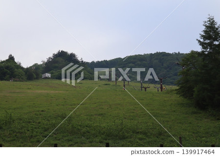 Scenery of Hakuba Happo-one in early summer Scenery of Hakuba Happo-one in early summer 139917464