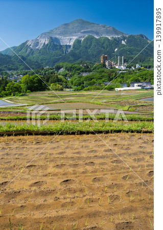 插秧後的稻田,以及武高山和橫瀨町 插秧後的稻田,以及武高山和橫瀨町 139917895
