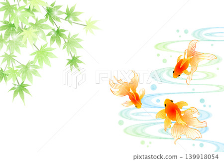 Goldfish, flowing water, and green maple leaves; summer greeting postcard; cute; illustration; Japanese style; horizontal Goldfish, flowing water, and green maple leaves; summer greeting postcard; cute; illustration; Japanese style; horizontal 139918054
