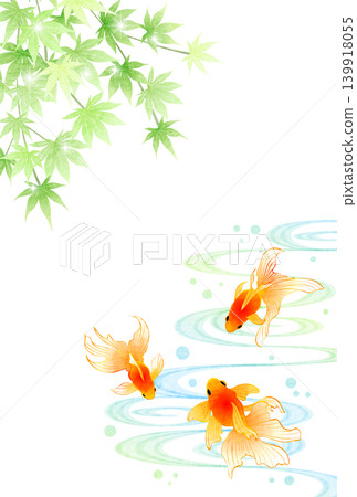 Goldfish, flowing water, and green maple leaves; summer greeting postcard; cute; illustration; Japanese style; vertical Goldfish, flowing water, and green maple leaves; summer greeting postcard; cute; illustration; Japanese style; vertical 139918055