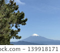 透過翠綠的植被，可以欣賞到富士山的壯麗景色。 139918171