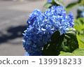 The rainy season is almost here. 139918233