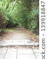 Tree trees 139918847