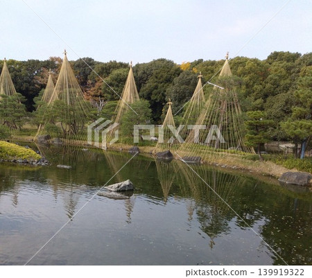 深秋時節,美麗的日式花園,白雪皚皚的樹木漂浮在池塘上。 深秋時節,美麗的日式花園,白雪皚皚的樹木漂浮在池塘上。 139919322