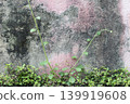 background texture nature leaf arrangement flat lay postcard style 139919608