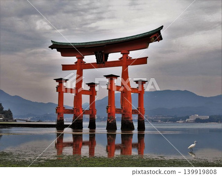 Itsukushima Torii tourist attraction in Japan Itsukushima Torii tourist attraction in Japan 139919808