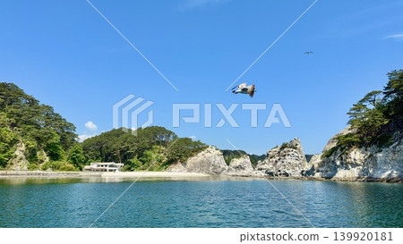 淨土濱海灘（岩手縣宮古市）：海鷗翱翔於藍天，日本南部赤松鬱鬱蔥蔥，碧藍的海水波光粼粼。 139920181