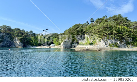 Jodogahama Beach (Miyako City, Iwate Prefecture): A scene of seagulls soaring through the blue sky, the lush green of southern Japanese red pines, and the emerald-blue waters. Jodogahama Beach (Miyako City, Iwate Prefecture): A scene of seagulls soaring through the blue sky, the lush green of southern Japanese red pines, and the emerald-blue waters. 139920203
