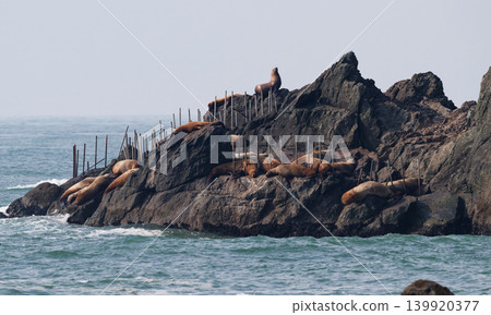 Sea lion enclosure ② (Hokkaido) Sea lion enclosure ② (Hokkaido) 139920377