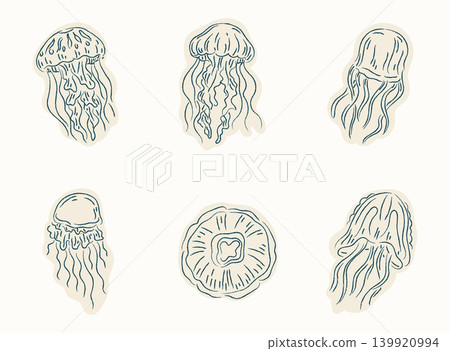 Hand drawn doodle collection of six jellyfish varieties with detailed tentacles and organic forms, ideal for ocean, marine, nature, and decorative design content. Hand drawn doodle collection of six jellyfish varieties with detailed tentacles and organic forms, ideal for ocean, marine, nature, and decorative design content. 139920994
