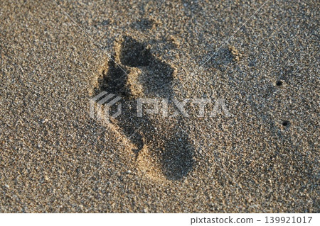 Footsteps Footsteps 139921017