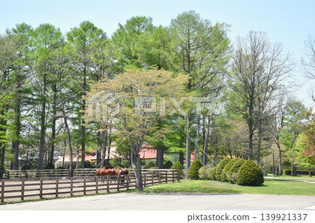 Northern Horse Park Northern Horse Park 139921337