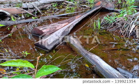 Flooded Timber Logs in Clear Reddish Peat Water 139921354