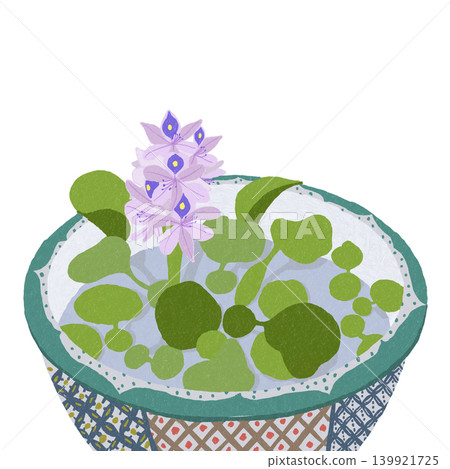 手繪花卉插圖:鳳眼蓮 手繪花卉插圖:鳳眼蓮 139921725