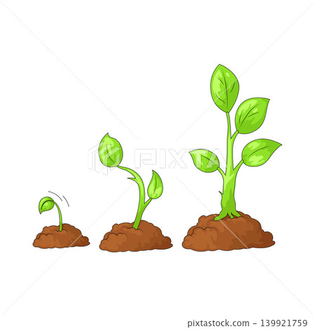 Illustration of Growth Strategy Illustration of Growth Strategy 139921759