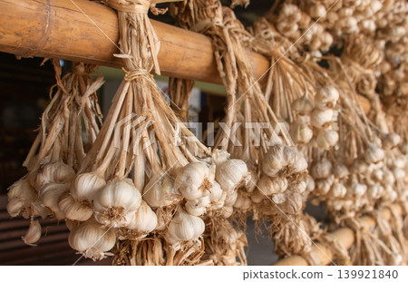 Dried Garlic Bunches Hanging on Bamboo Pole Dried Garlic Bunches Hanging on Bamboo Pole 139921840