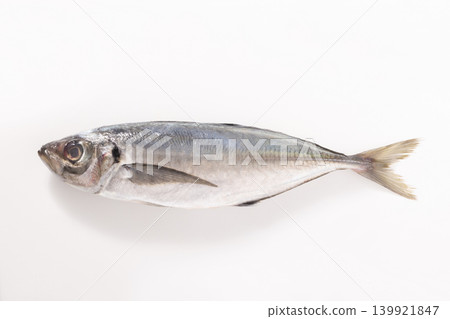[Nagasaki Prefecture] Horse Mackerel (wild-caught) 139921847