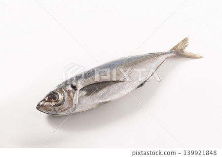 【長崎縣】野生竹莢魚 【長崎縣】野生竹莢魚 139921848