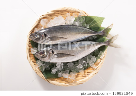 【長崎縣】野生竹莢魚 【長崎縣】野生竹莢魚 139921849