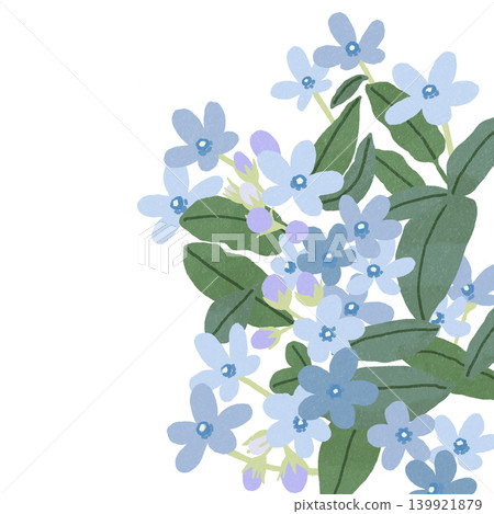 Hand-drawn flower illustration: Blue Star Hand-drawn flower illustration: Blue Star 139921879