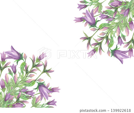 Corners frame of the bluebells branches. Meadow flower watercolor illustration. Handmade art work. For packaging design, cards, cover, prints, product labels and fabric. Corners frame of the bluebells branches. Meadow flower watercolor illustration. Handmade art work. For packaging design, cards, cover, prints, product labels and fabric. 139922618