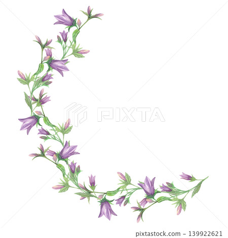 An arc of bellflower branches. Meadow flower watercolor illustration. Handmade art work. For packaging design, cards, cover, prints, product labels and fabric. An arc of bellflower branches. Meadow flower watercolor illustration. Handmade art work. For packaging design, cards, cover, prints, product labels and fabric. 139922621