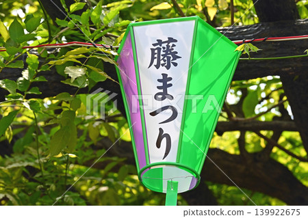 Lanterns for the "Wisteria Festival" 139922675
