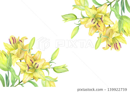 Corners frame of the lilies. Handmade watercolor illustration. For packaging design, cards, cover, prints, product labels and fabric. Corners frame of the lilies. Handmade watercolor illustration. For packaging design, cards, cover, prints, product labels and fabric. 139922739