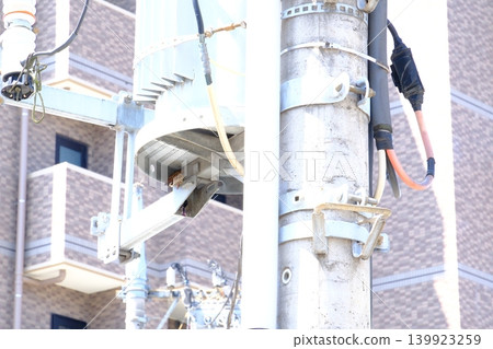 City sparrows raise their young in a small hole in a transformer on a telephone pole. City sparrows raise their young in a small hole in a transformer on a telephone pole. 139923259