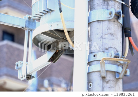 城市麻雀在電線桿變壓器上的一個小洞撫育幼鳥。 城市麻雀在電線桿變壓器上的一個小洞撫育幼鳥。 139923261
