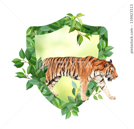 Tiger and Shield made from green leaves. Safety, ecology, global ecological resource, go green concept. Environmental conservation, wildlife protection, Eco-friendly. Isolated on white background Tiger and Shield made from green leaves. Safety, ecology, global ecological resource, go green concept. Environmental conservation, wildlife protection, Eco-friendly. Isolated on white background 139923513