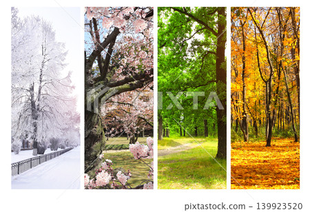 Set of nature banners depicting natural landscape. Four season of year. Each one features scene of nature, from snow of winter to vibrant leaves of fall. Perfect for showcasing of changing seasons Set of nature banners depicting natural landscape. Four season of year. Each one features scene of nature, from snow of winter to vibrant leaves of fall. Perfect for showcasing of changing seasons 139923520