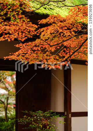 Autumn leaves in the grounds of Jojakkoji Temple Autumn leaves in the grounds of Jojakkoji Temple 139923696